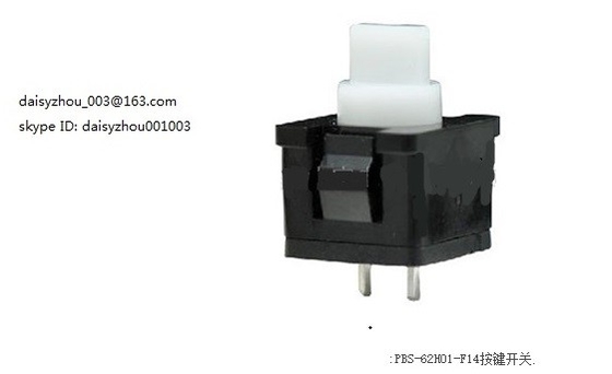 china Vertical Push Switch Model:PB-11E01  switch, 11E01 2 plugs micro switch supplier